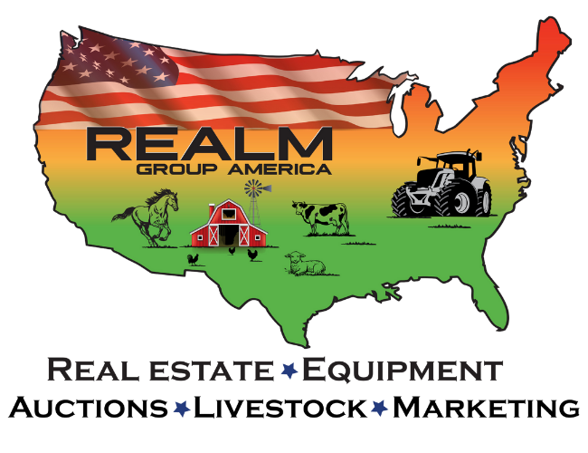 REALM Group America